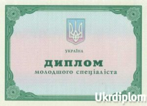 Диплом училища 2011 - 2014